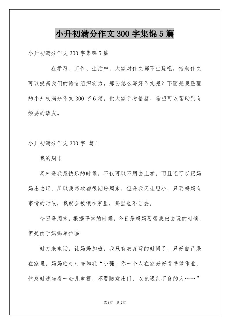 小升初满分作文300字集锦5篇例文