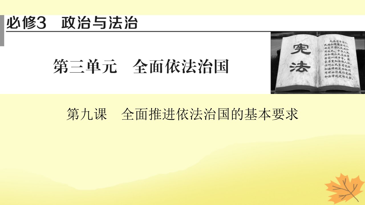 2024版高考政治一轮总复习必修3第九课全面推进依法治国的基本要求课件