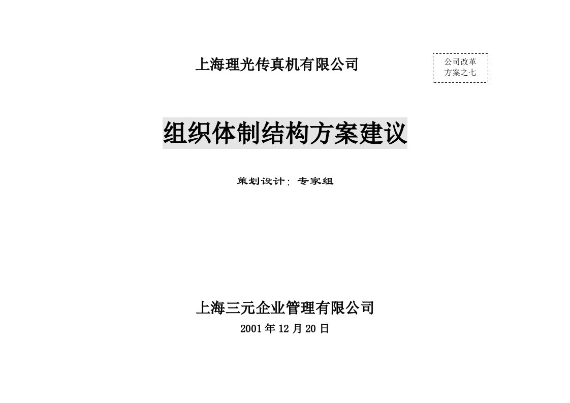 精选上海某公司组织体制结构方案建议