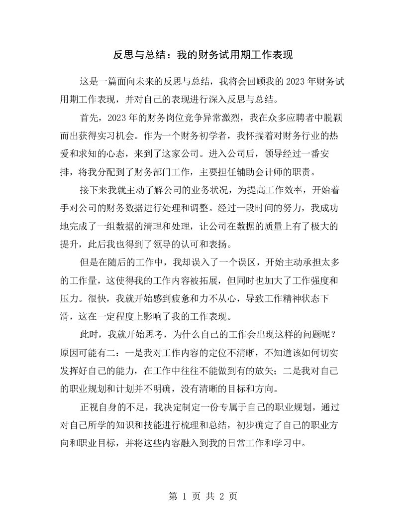 反思与总结：我的财务试用期工作表现