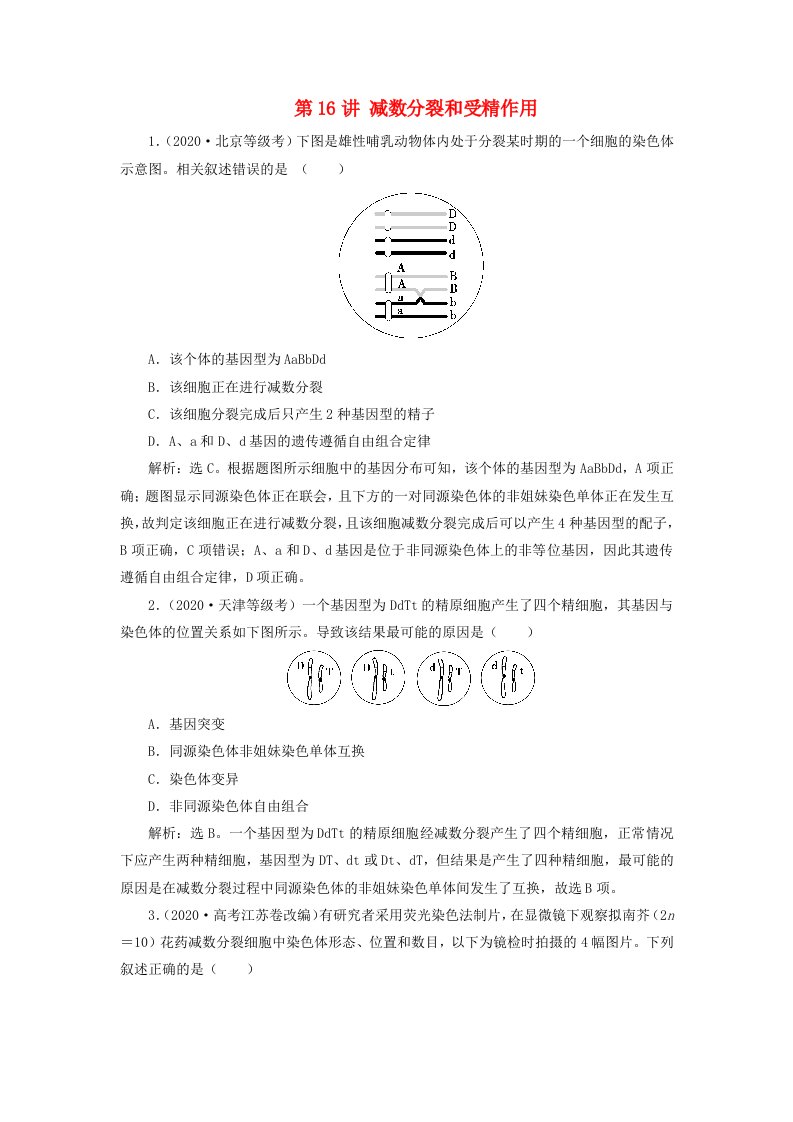 2025届高考生物一轮总复习真题演练必修1第四单元细胞的生命历程第16讲减数分裂和受精作用