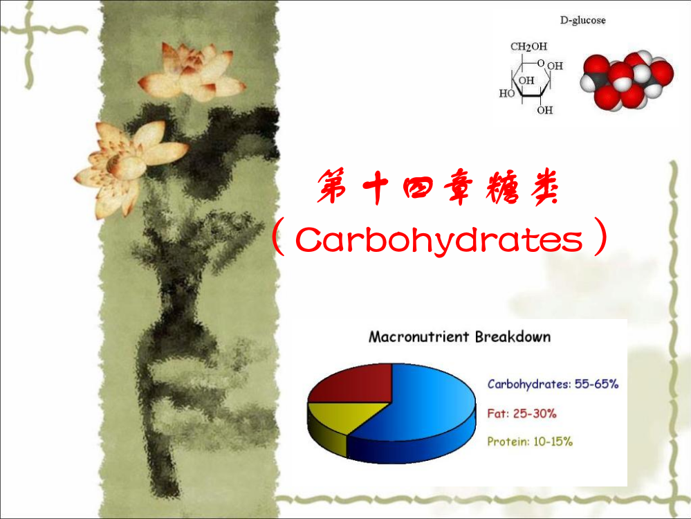 第十五章-糖类ppt课件