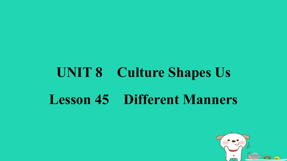 2024九年级英语下册Unit8CultureShapesUsLesson45DifferentManners习题课件新版冀教版