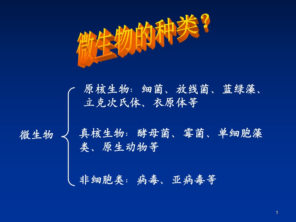 原核生物的形态课件