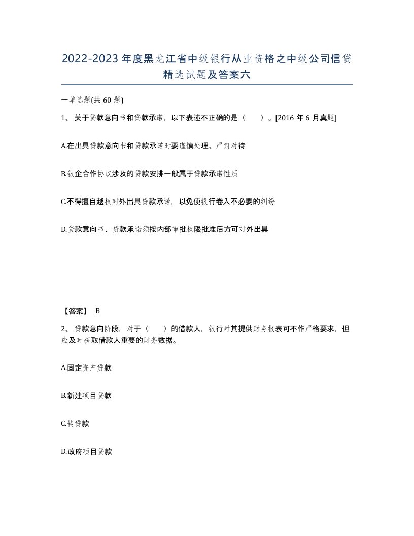 2022-2023年度黑龙江省中级银行从业资格之中级公司信贷试题及答案六