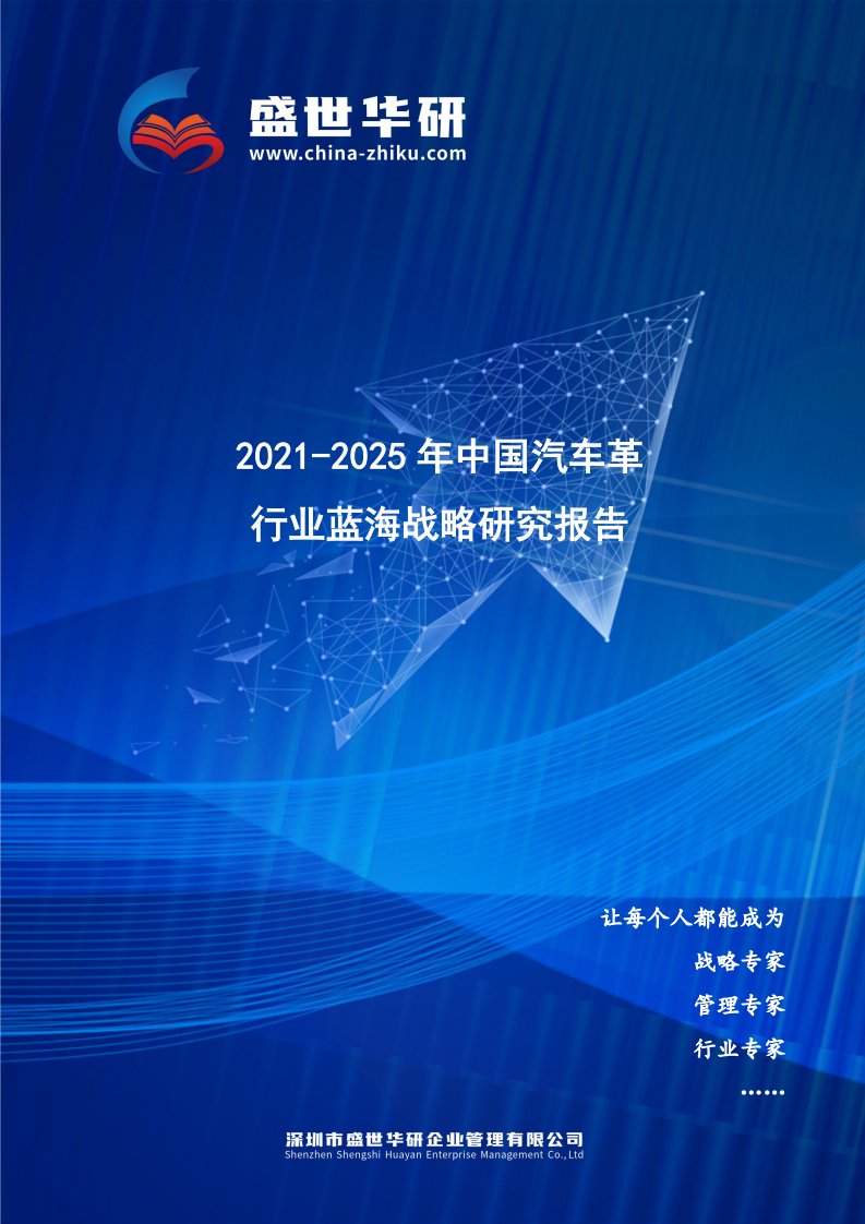 2021-2025年中国汽车革行业蓝海市场战略研究报告