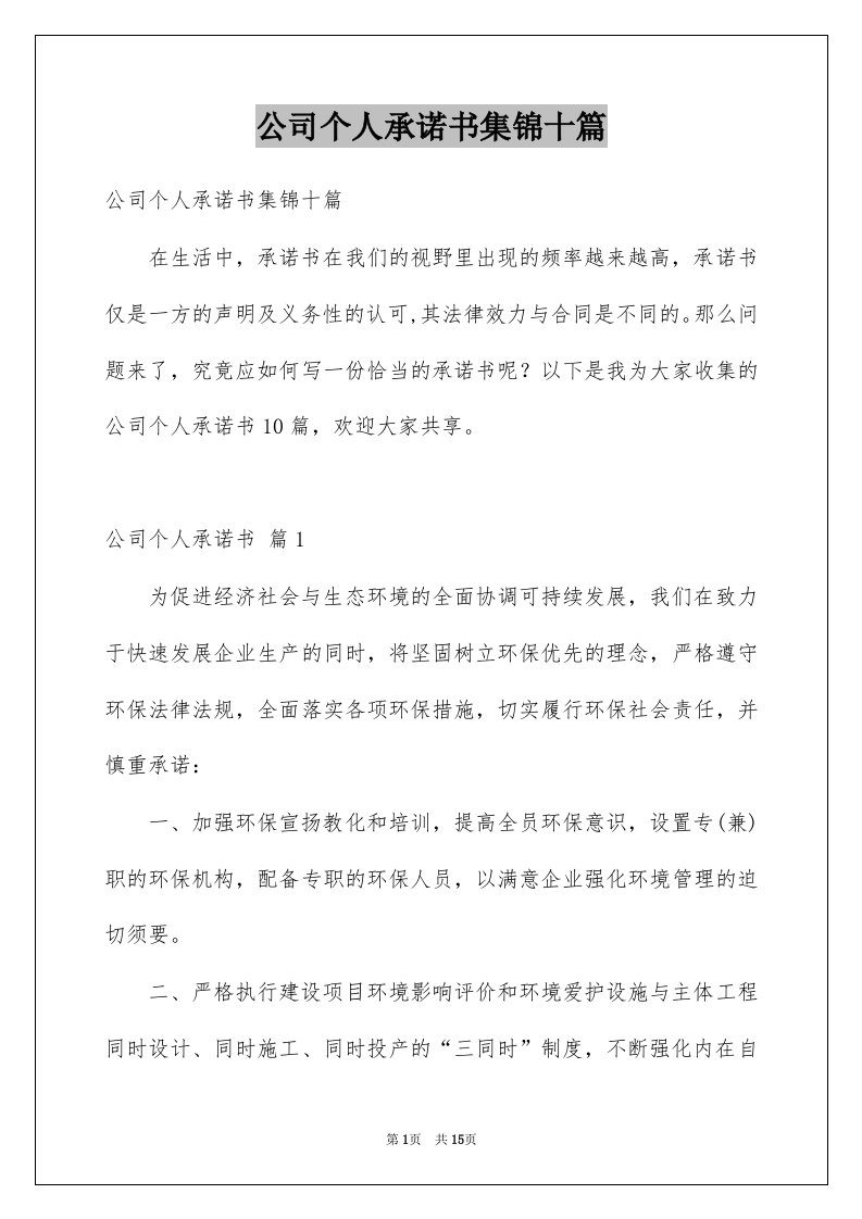 公司个人承诺书集锦十篇