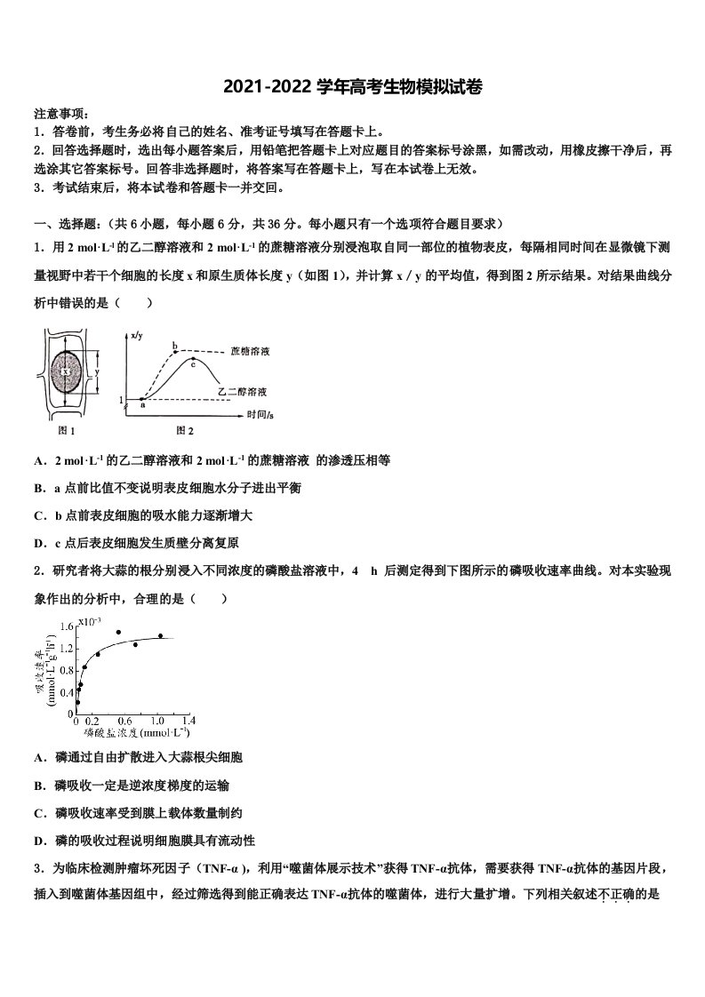 2021-2022学年贵州省铜仁伟才学校高三下学期第一次联考生物试卷含解析