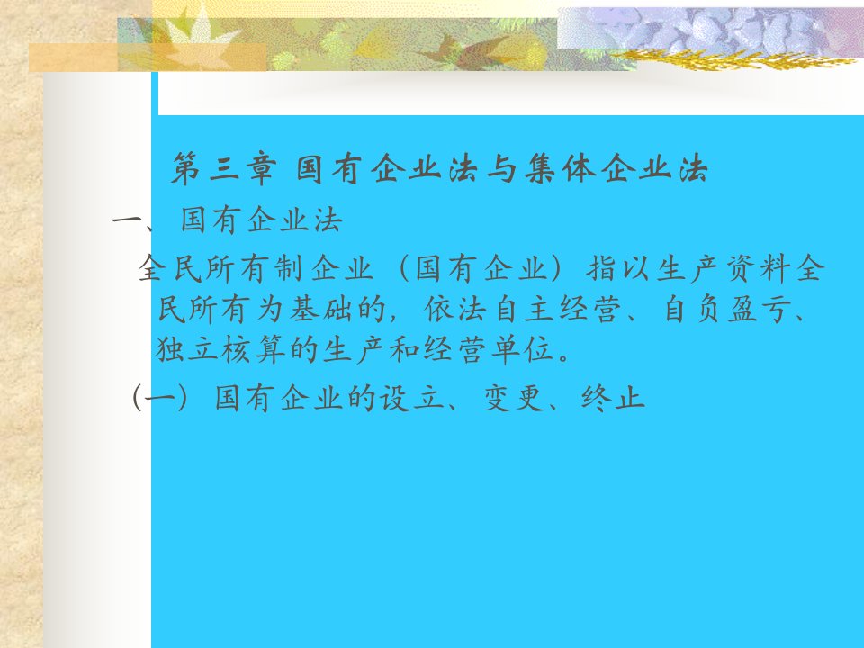 第三章国有企业法与集体企业法