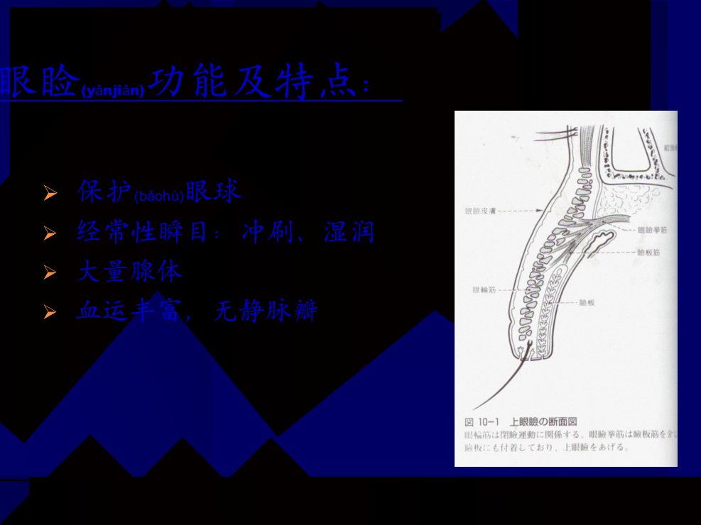 医学专题细菌性结膜炎