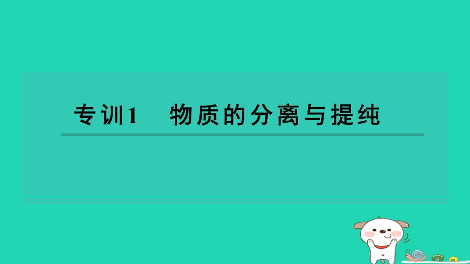 2024九年级化学下册专训1物质的分离与提纯习题课件科粤版