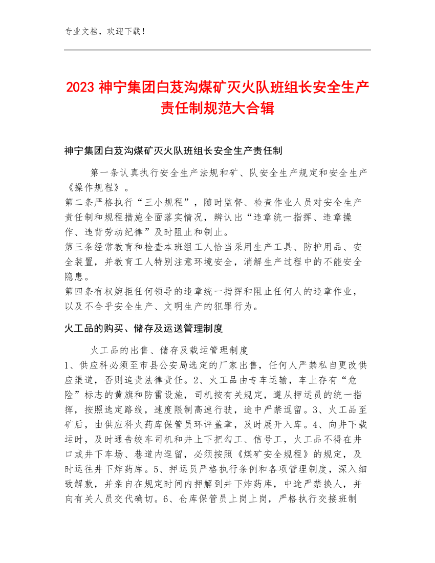 2023神宁集团白芨沟煤矿灭火队班组长安全生产责任制规范大合辑