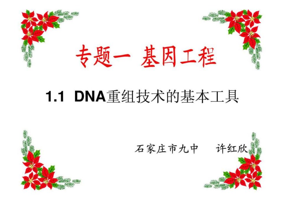 DNA重组技术的基本工具公开课.ppt