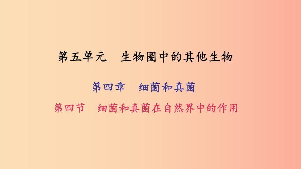 八年级生物上册第五单元第四章第四节细菌和真菌在自然界中的作用习题课件