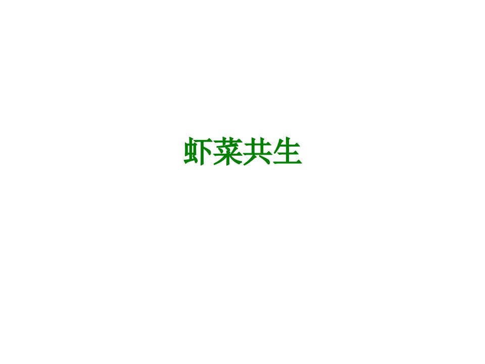 虾菜共生-课件（PPT·精·选）