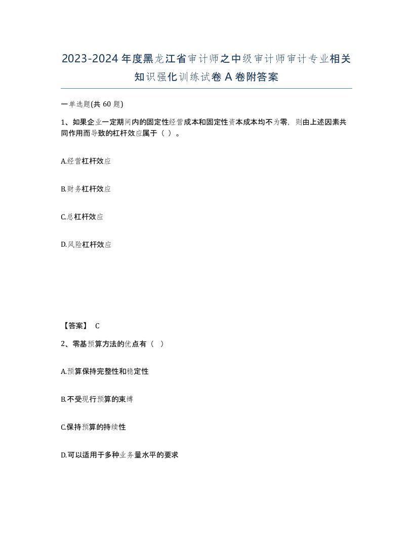 2023-2024年度黑龙江省审计师之中级审计师审计专业相关知识强化训练试卷A卷附答案