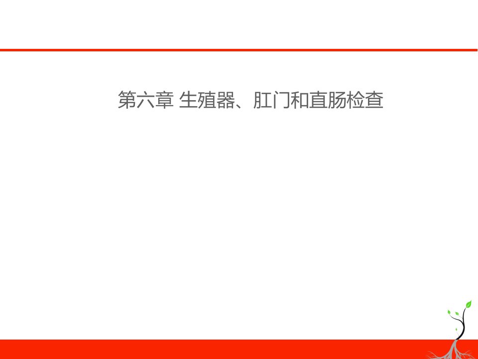 生殖器、肛门和直肠检查