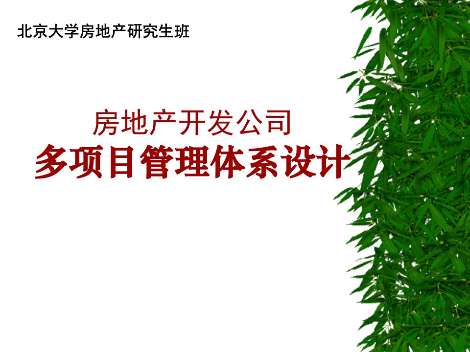 房地产开发企业多项目管理体系设计方案