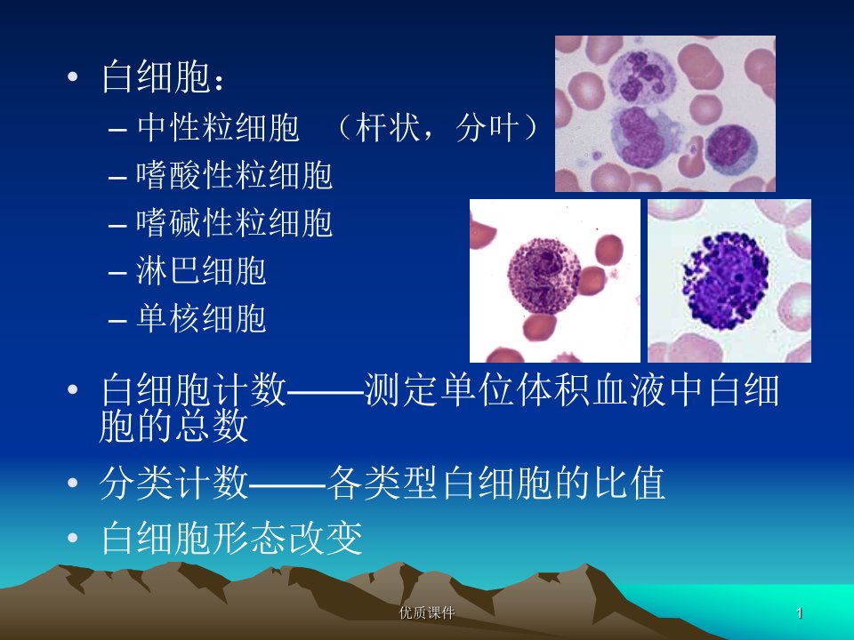 白细胞计数与分类高等教育