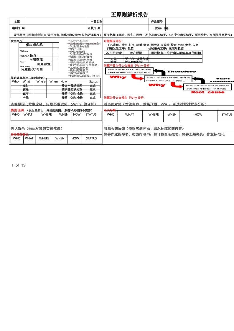 五原则解析报告模板