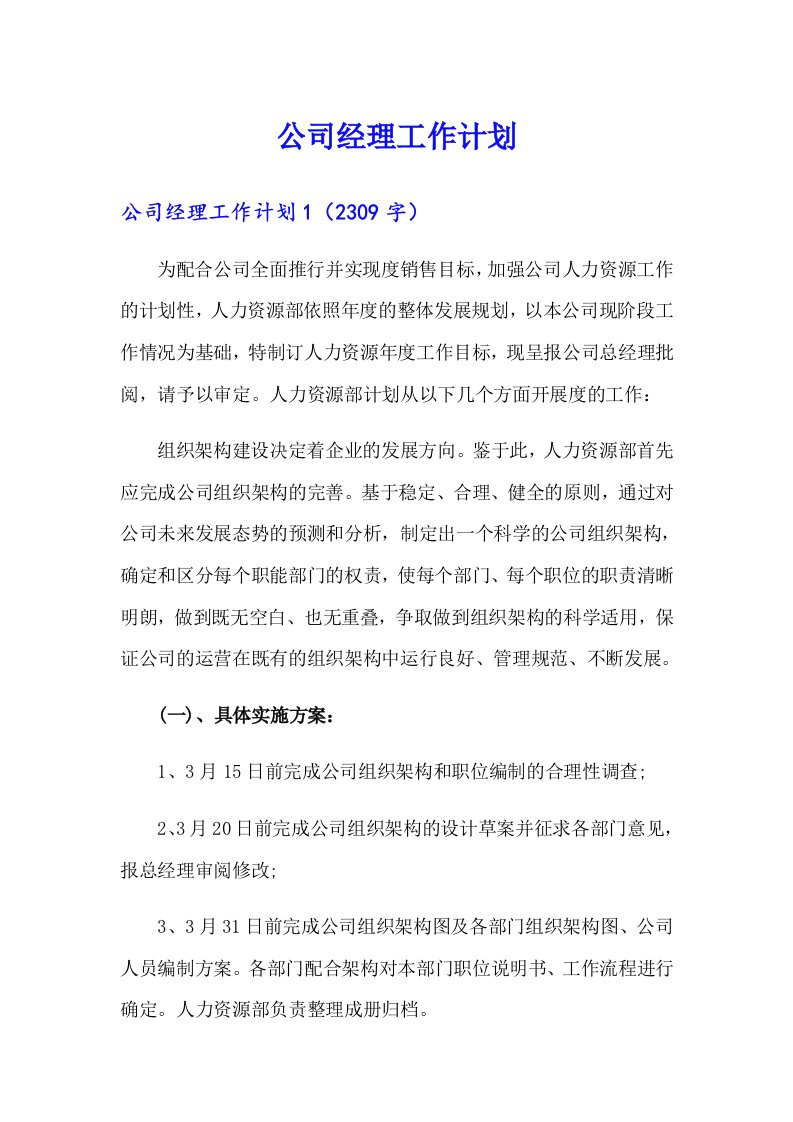 公司经理工作计划