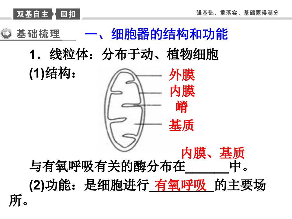 一轮复习细胞器及生物膜系统培训讲学