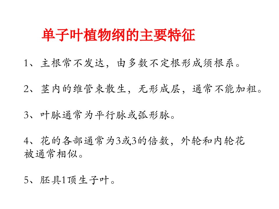 单子叶植物纲的分类ppt课件