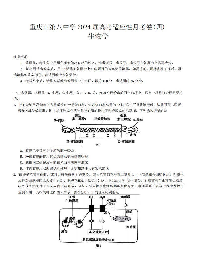 重庆市第八中学2023—2024学年高三上学期第四次月考生物试题及答案3995