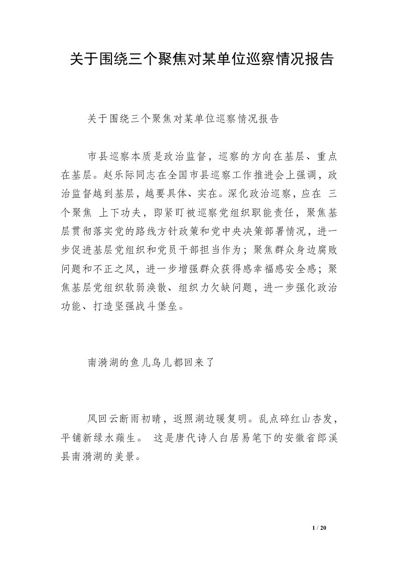 关于围绕三个聚焦对某单位巡察情况报告