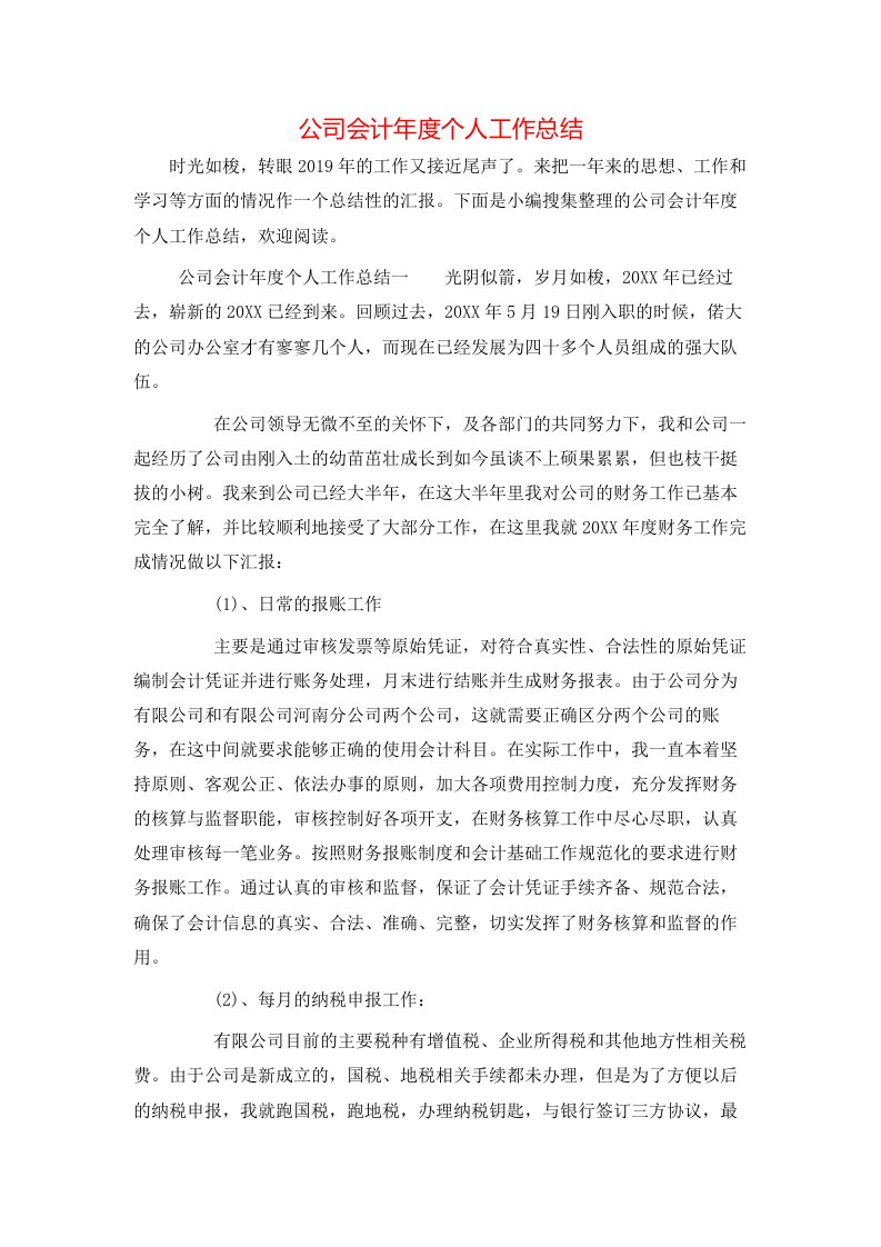 公司会计年度个人工作总结