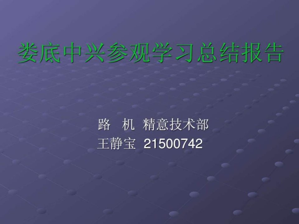 娄底中兴学习报告.ppt