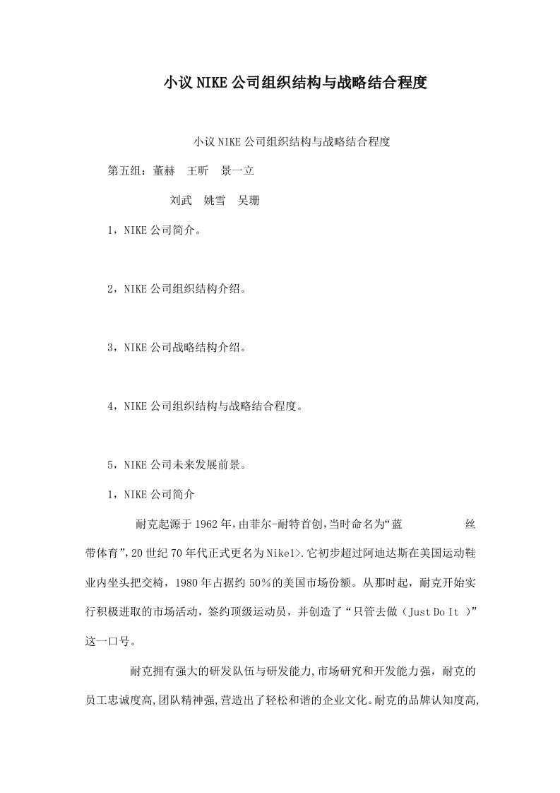 小议NIKE公司组织结构与战略结合程度