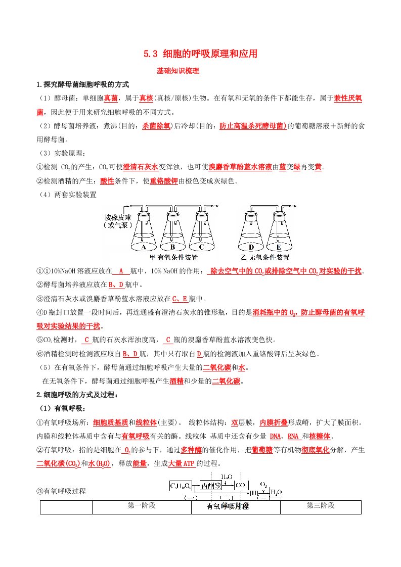 2024年同步备课高中生物5.3细胞的细胞的呼吸原理和应用同步训练教师版新人教版必修1