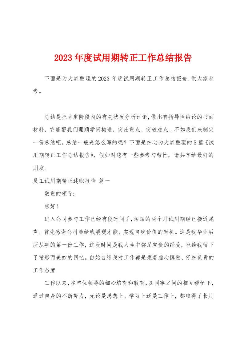 2023年度试用期转正工作总结报告