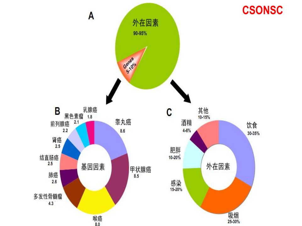 0420肿瘤患者家庭营养与康复指导深圳市