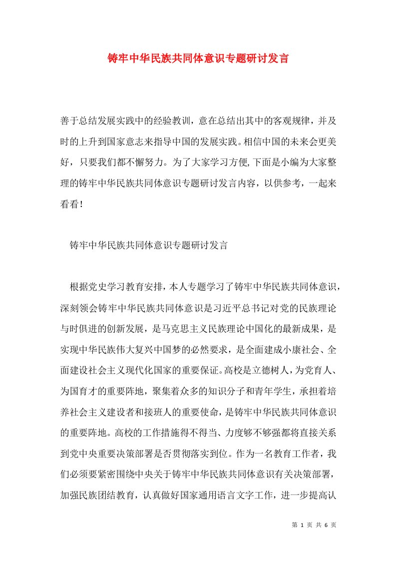 铸牢中华民族共同体意识专题研讨发言