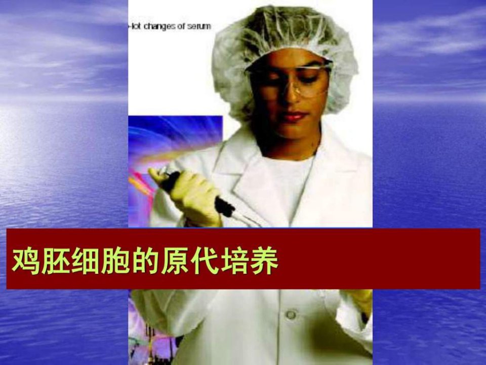 鸡胚细胞的原代培养.ppt