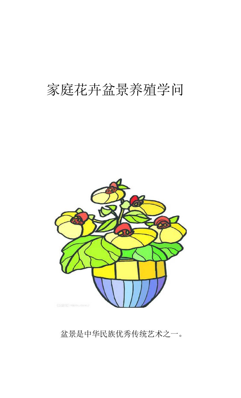 花卉宣传手册