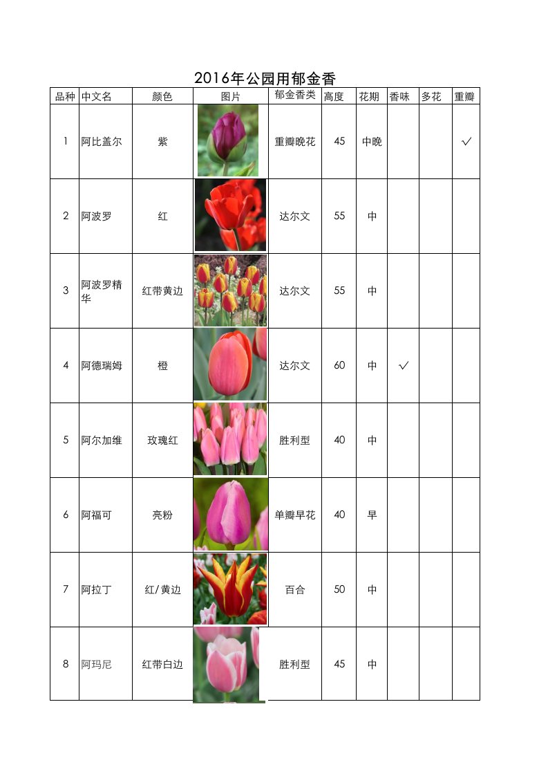 2016年郁金香品种规格花期大全