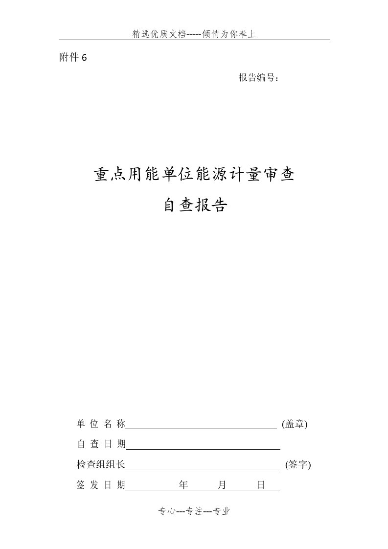 重点用能单位能源计量审查自查报告(共10页)