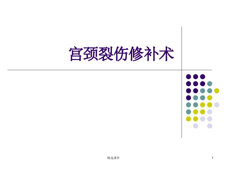 宫颈裂伤修补术ppt课件