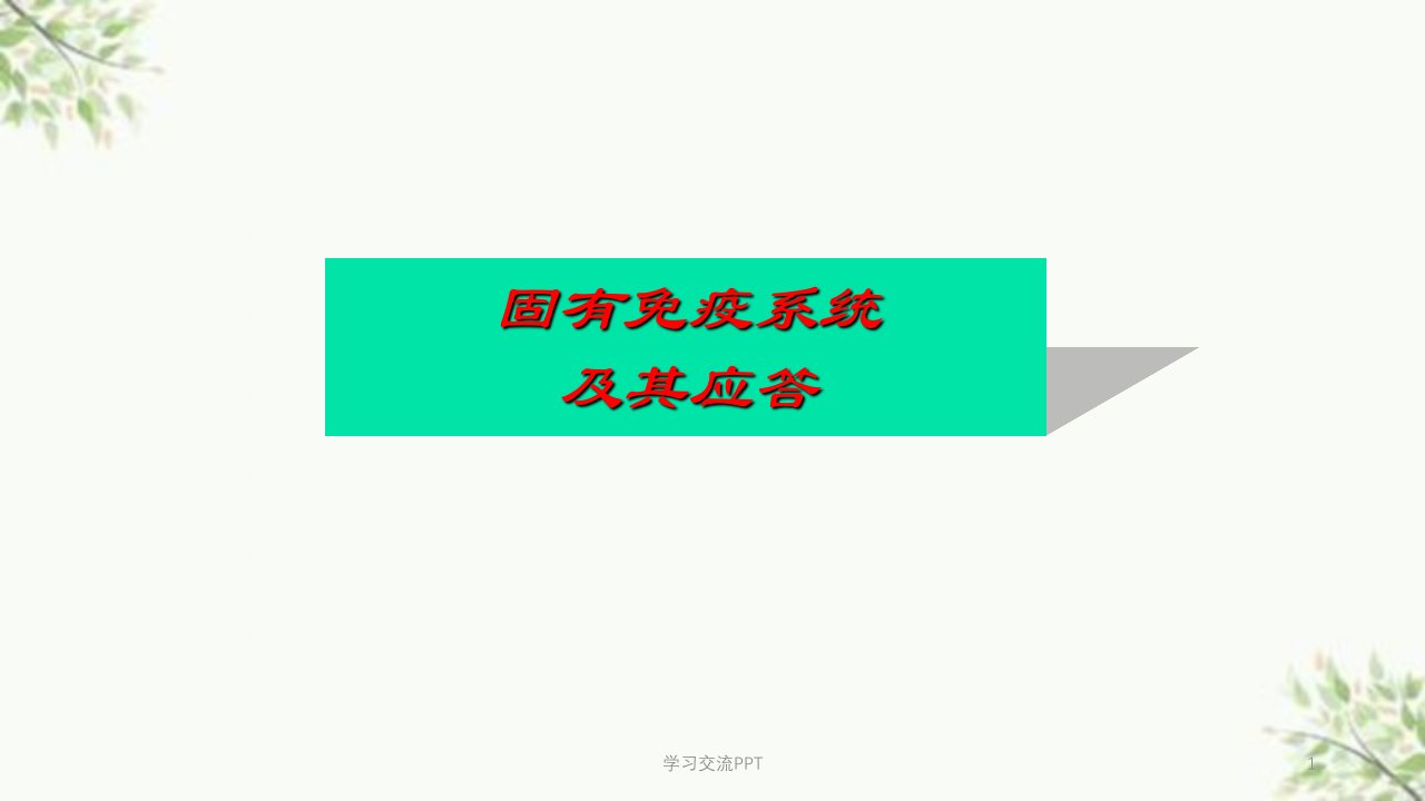 固有免疫系统及其应答医学课件