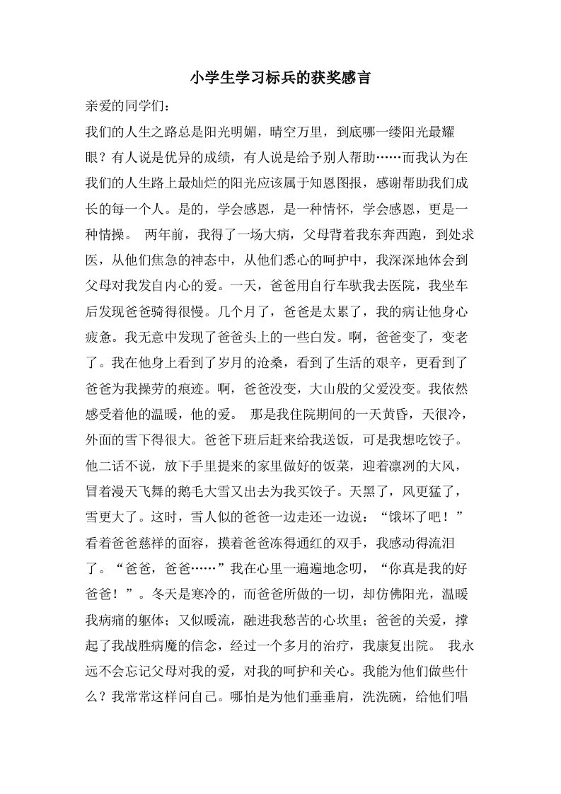 小学生学习标兵的获奖感言