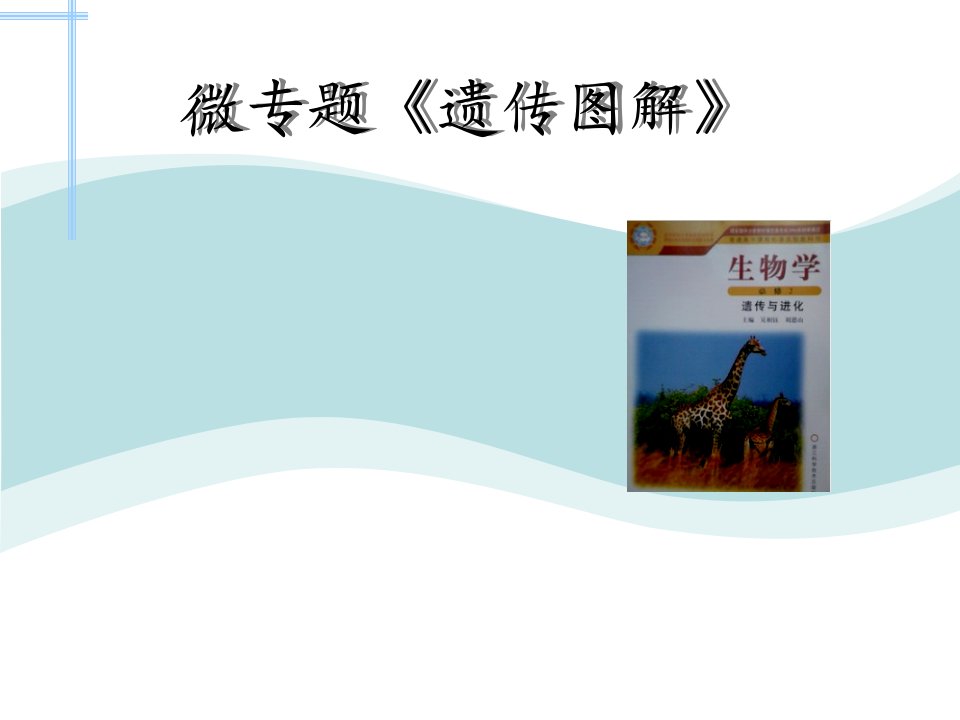 浙江省嘉兴市高三生物