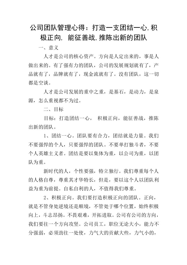 公司团队管理心得：打造一支团结一心-积极正向--能征善战-推陈出新的团队