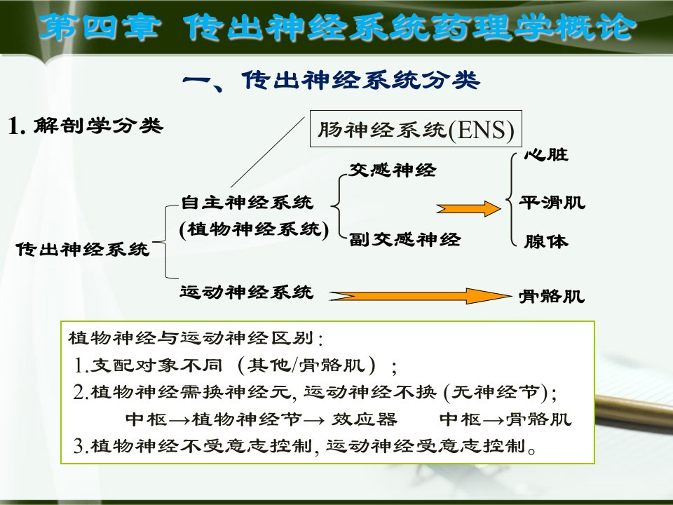 临床药学PPT课件1