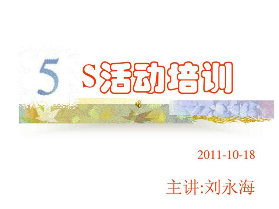 最新5s培训讲义.ppt