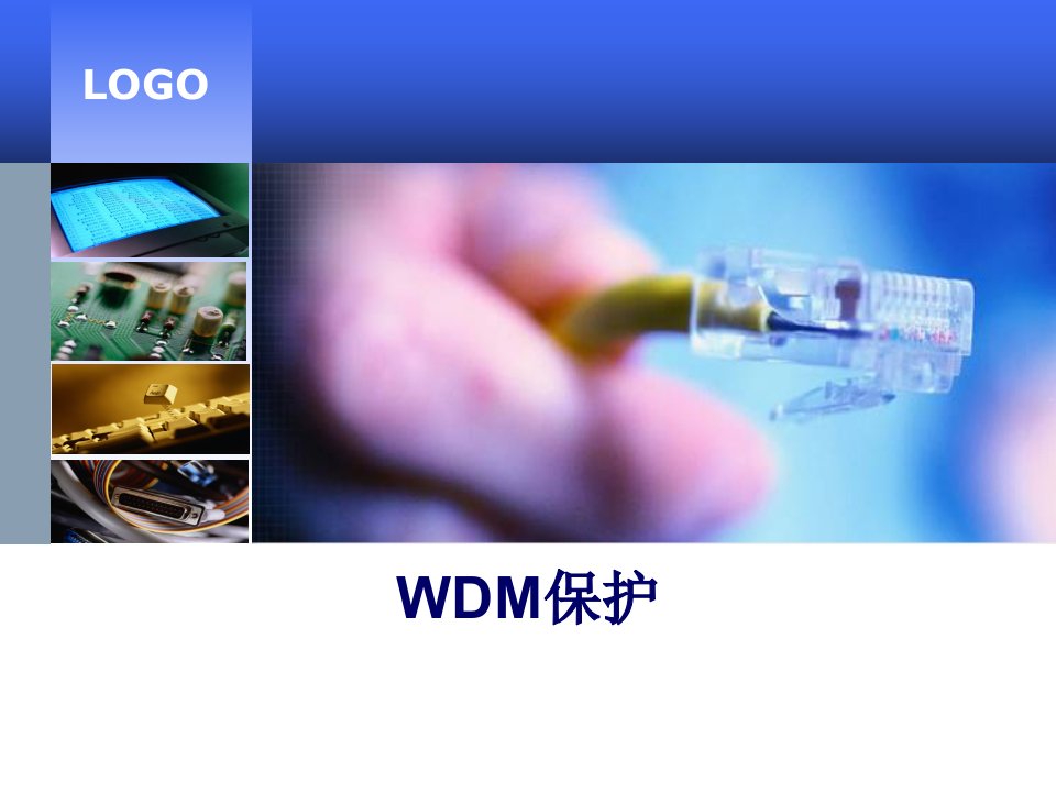 WDM保护