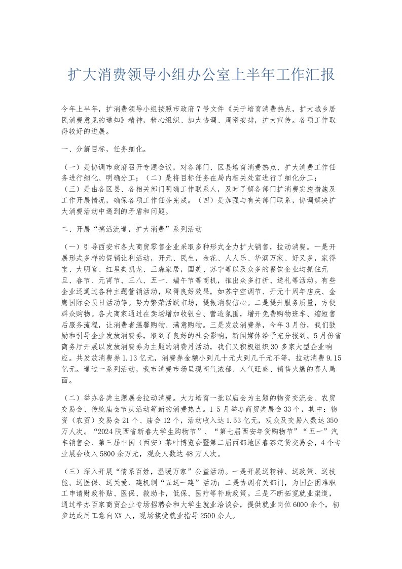 总结报告扩大消费领导小组办公室上半年工作汇报