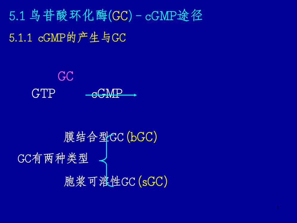 生物化学细胞内信息传递途径3ppt课件